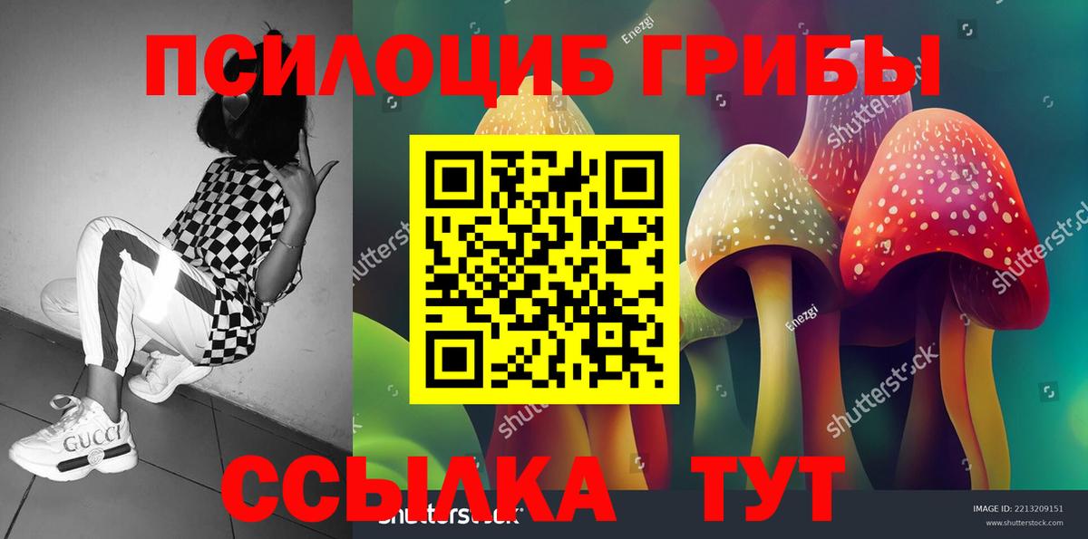 Псилоцибиновые грибы мицелий  Вход с VPN  Обнинск 